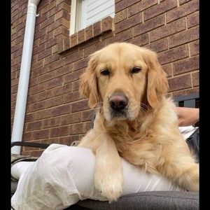 Meet your Posher, Sally